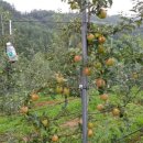 (주)아리수인터넷 이미지