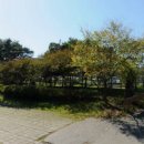 하천섬(주차장) 이미지