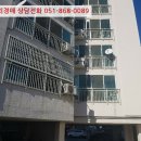 신안로1 이미지