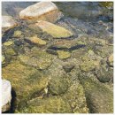 스테이브릴 | 영월펜션 찾다가 우연히 발견한 스테이브릴, 조용한 산속에서 제대로 쉬고 온 영월감성숙소 후기