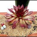 세진농장 이미지