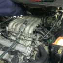 애니카랜드대치점 이미지