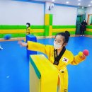 제일아이캔태권도 이미지