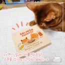 우리 냥이 피부와 털 관리를 위한 선택! 스푼풀 고양이 오메가3