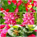 부천자연생태공원 이미지