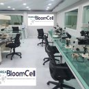 (주)드림셀 이미지