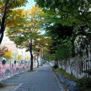 명진초등학교 이미지