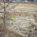 경기 안산시 단원구 대부북동 / 논 답, 주말농장부지 묘목재배지 체험농장용지 다용도용지 하우스시설용지 경작지 비닐하우스시설용지 / 3 이미지