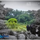 좋은삼정병원 | 후불제상조회사와 함께한 좋은삼정병원장례식장 비용 수목장 안치까지