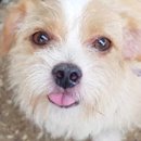 경남 창원 다정 동물 약국 이미지