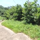 선산읍행정복지센터 이미지