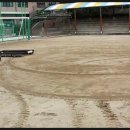 대전송촌초등학교 이미지