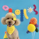 차차그루밍 이미지