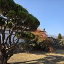 함양상림 이미지