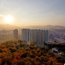 포레스타 인근 네이버블로그