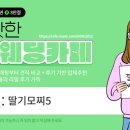 베라제이스튜디오
