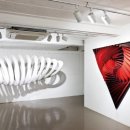 ECO FLOW - 이미지