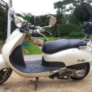 남이섬 하늘사랑 이미지