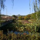 궁동생태공원 이미지