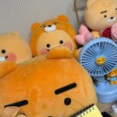 미래필테크 | 카카오 staff 어시스턴트 서류합격/면접(낙방)후기 + 잔잔바리 근황과 생각들