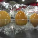 비타민헬스휘트니스 이미지