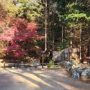 오마도터널 | 단풍놀이, 인천 대공원 호수 길에서 AI과 때죽나무를 만나다