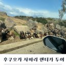 (유)하나렌트카 이미지