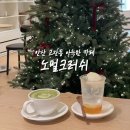 안산 고잔동 아늑한 분위기 신상카페 노멀크러쉬(Normal Crush) 트리카페