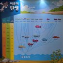 섬진강어류생태관 | 섬진강어류생태관