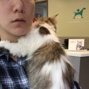 리옹동물병원 이미지