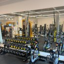 뉴바디짐 이미지