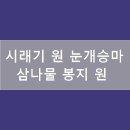시래농산물
