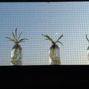 한미메디내과진단방사선과의원 이미지