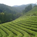 보금모텔 이미지