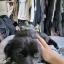 동아대학교대신요양병원 이미지