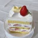 토끼언니케이크 | 제주 글루텐프리 케이크 전문점 제주포슬 딸기케이크 후기