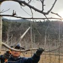 옥산2농장 이미지