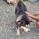 용소계곡펜션 이미지