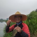 증평낚시 이미지