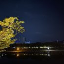 에덴공원 공중화장실 | 속초 러닝코스 풍경맛집 영랑호 주차정보 및 공중화장실