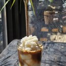 바바라 발리 이미지