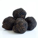 서양 최애버섯 Truffle(트러플, 송로 松露 버섯) 이야기 이미지