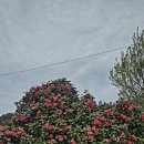 차1리 경로당 이미지