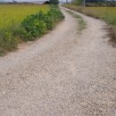 세한대학교 이미지