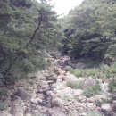 한화농원 이미지