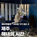 해녀박물관 | 제주 해녀박물관 후기 / 아이랑 함께 가기 좋은 제주 동쪽 박물관