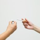 뽑고뽑고 이미지