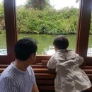 지혜네민박