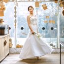 아리스타타 이미지