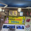 오태호킹크랩 이미지